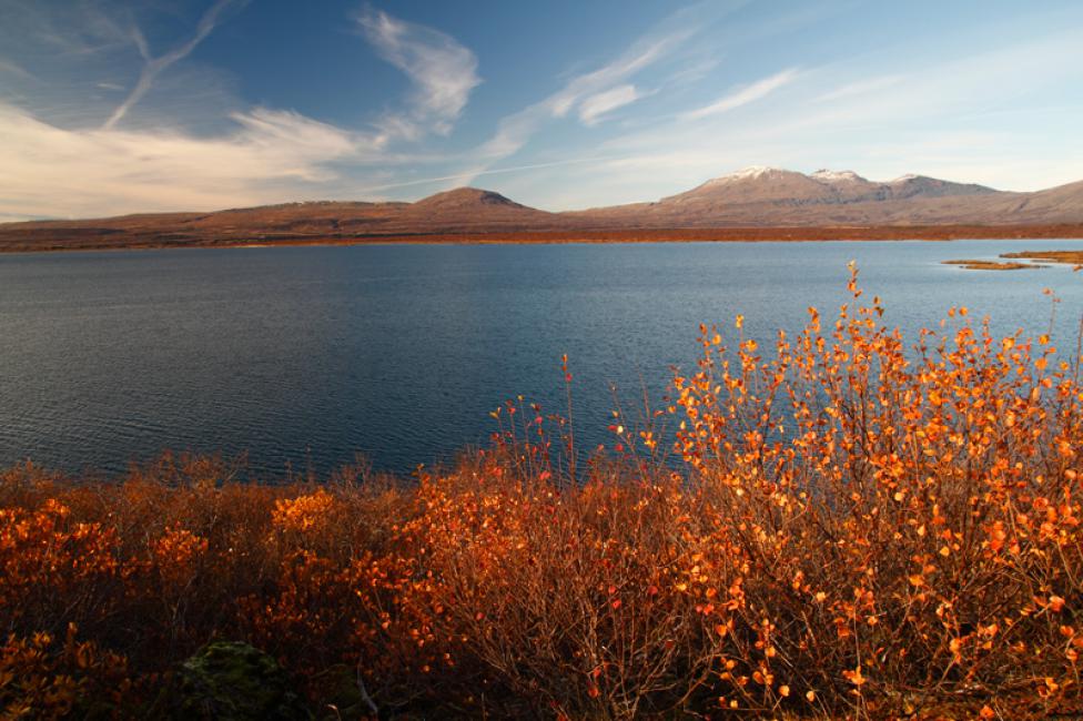 Otoño en el P.N. de Thinguellir